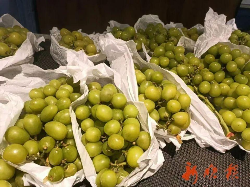 从三百元一斤到三块多一斤，阳光玫瑰葡萄价格为何暴跌？  第3张