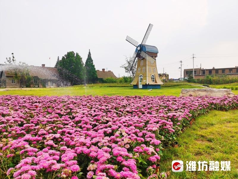 潍坊 1532 文化产业园：历史与潮流的交融，你打卡了吗？  第1张