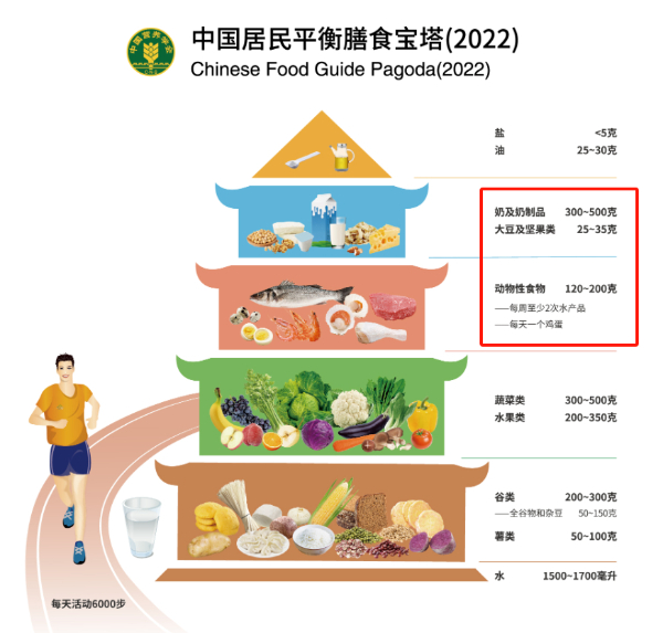 惊！中年女性竟易患骨质疏松，原因竟是这两个  第2张