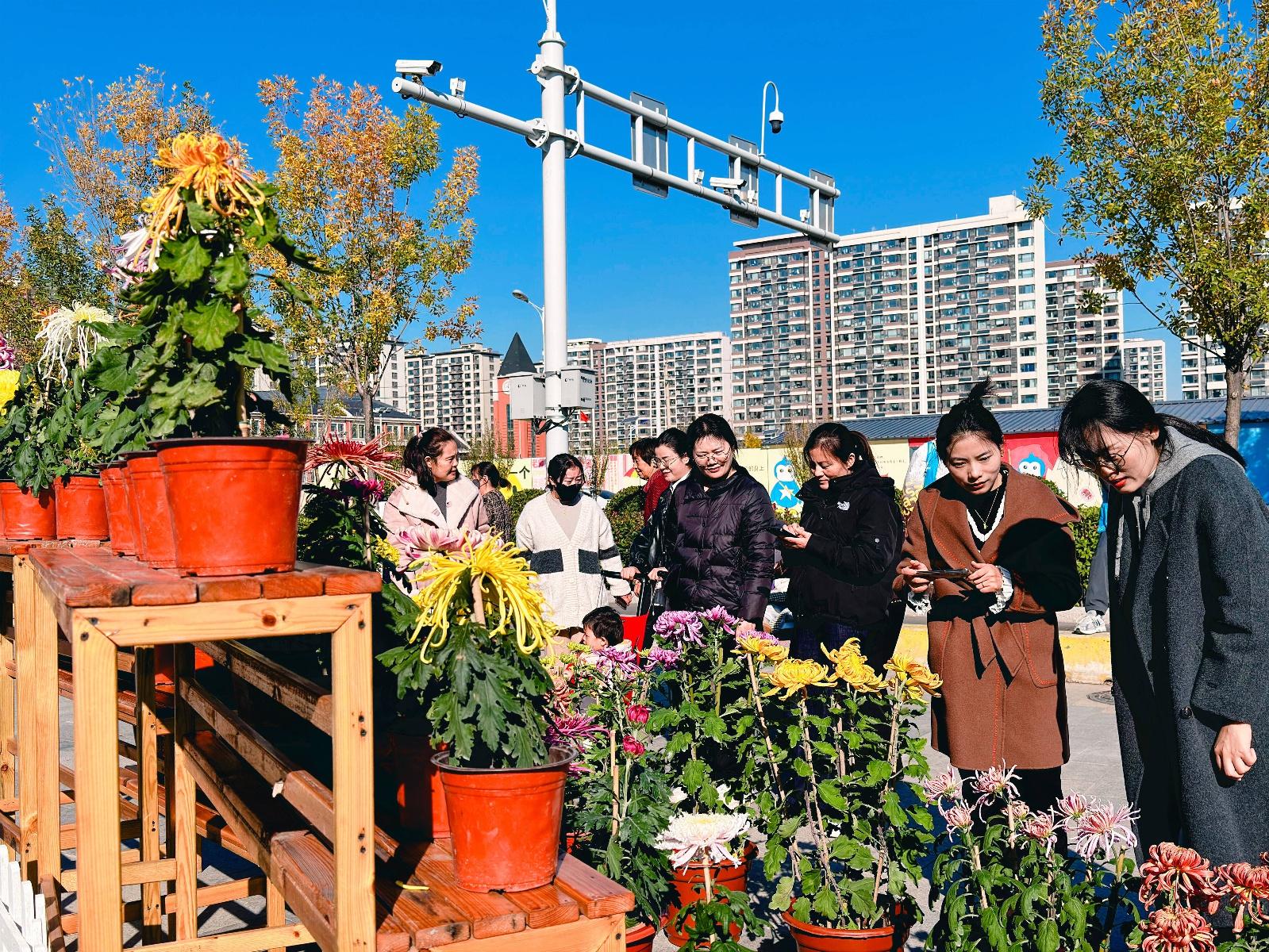 共建美丽花园，同赏秋菊盛艳！济南这一社区的活动太有意义了  第4张