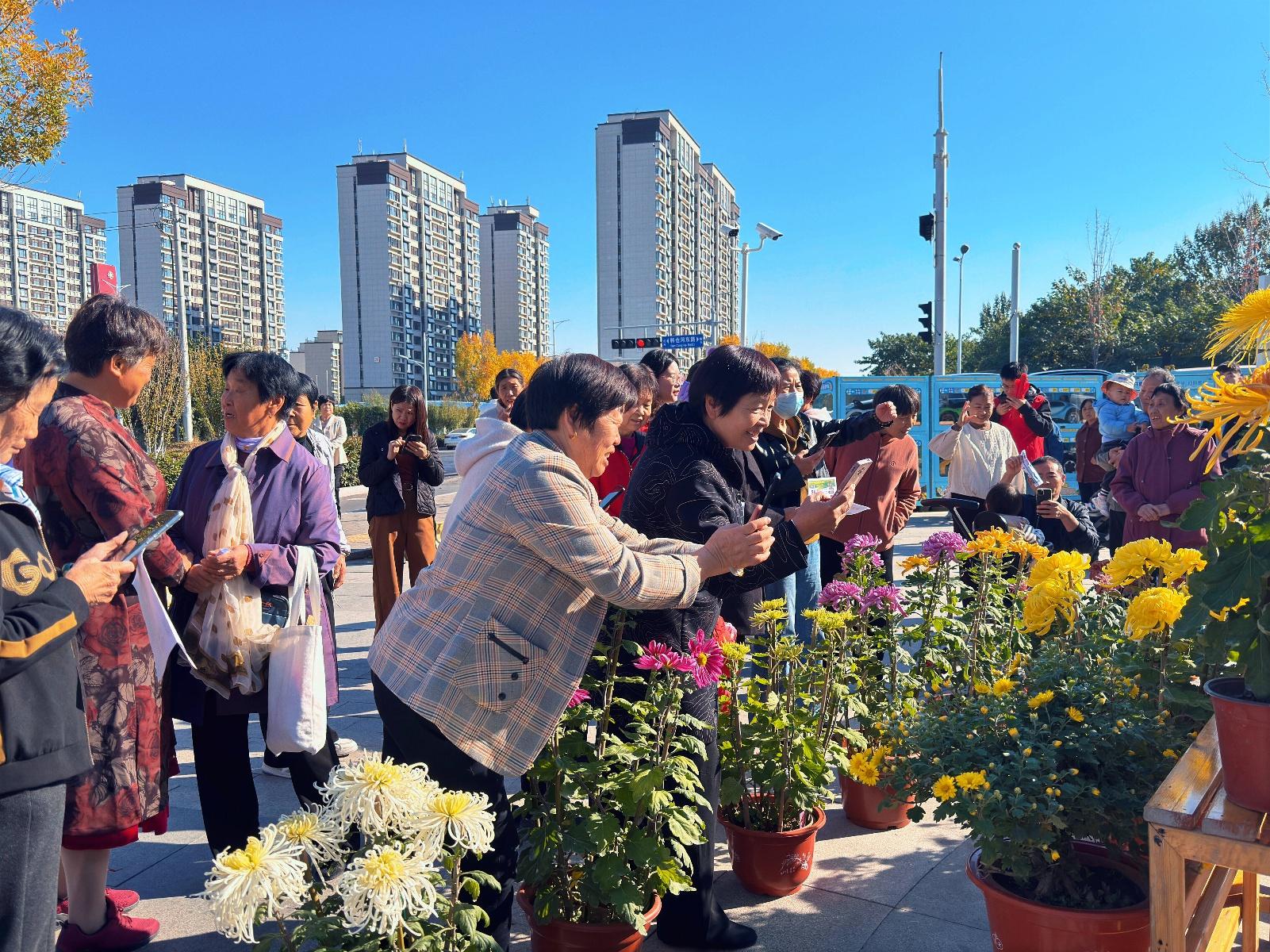 共建美丽花园，同赏秋菊盛艳！济南这一社区的活动太有意义了  第5张