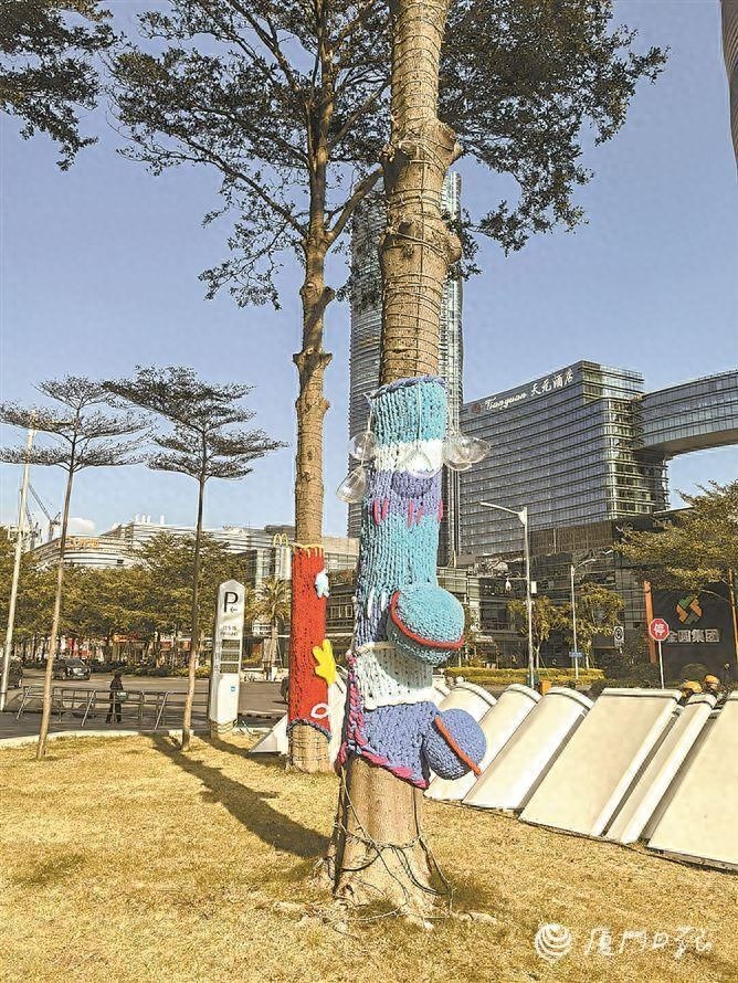 行道树穿上多巴胺毛衣，市民热议：真的能保暖吗？