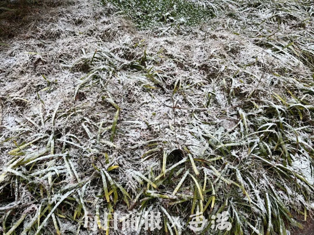 双休日晴冷当道，气温骤降！杭州未来7天霾频繁现身，防寒保暖刻不容缓  第2张