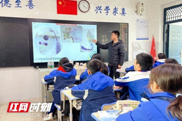 惊！学生用化学试剂制作叶脉书签，竟发现大自然的神奇秘密  第1张