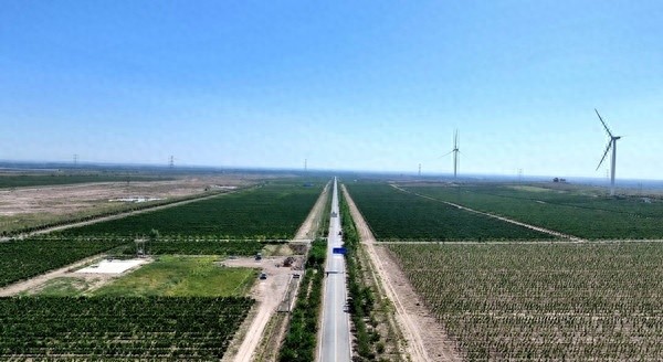 青铜峡葡萄酒产业2024年销售额破5亿，酒庄数量达26个，综合产值超90亿