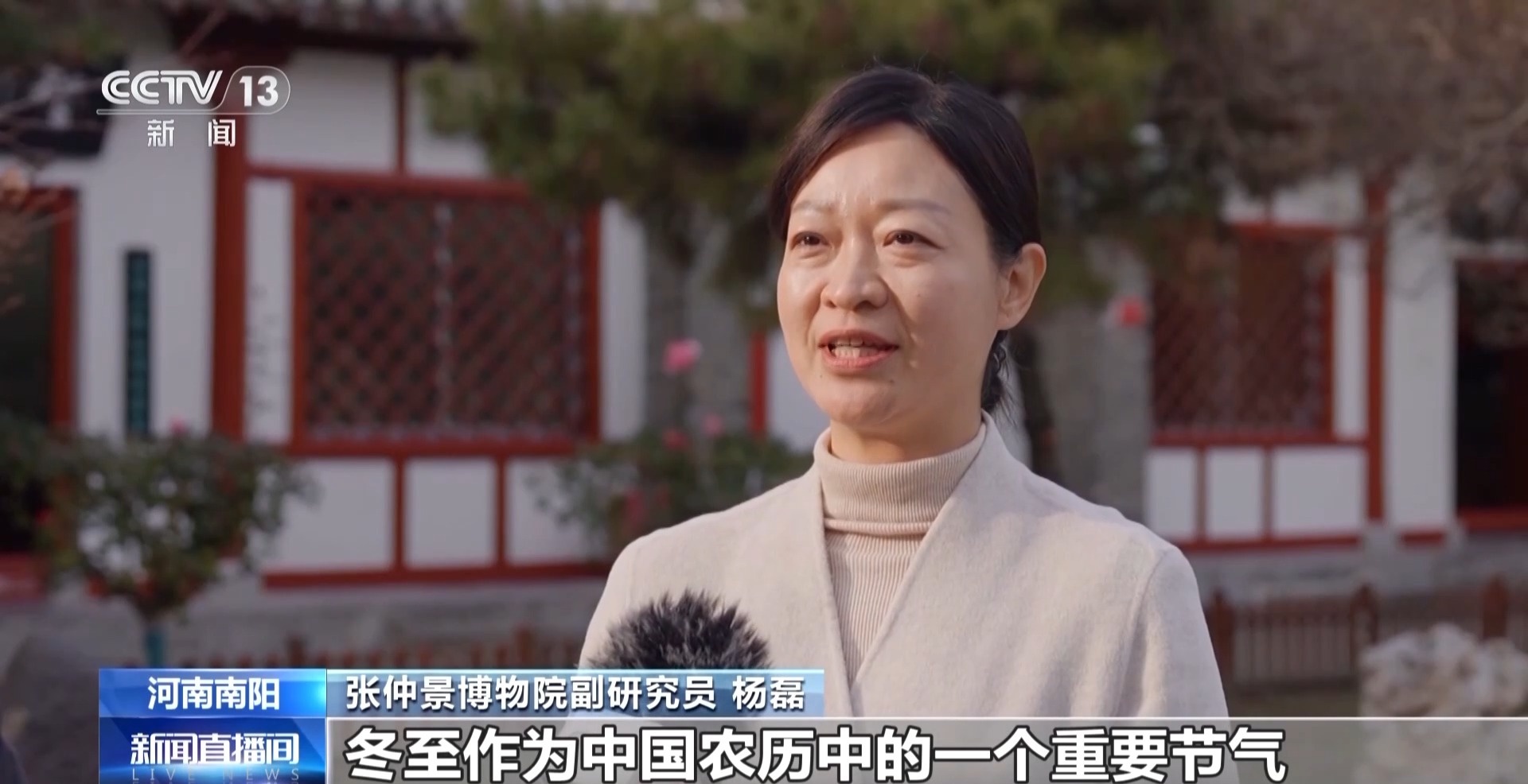 冬至吃饺子为何选羊肉馅？揭秘南阳祛寒娇耳汤的神奇来历  第2张