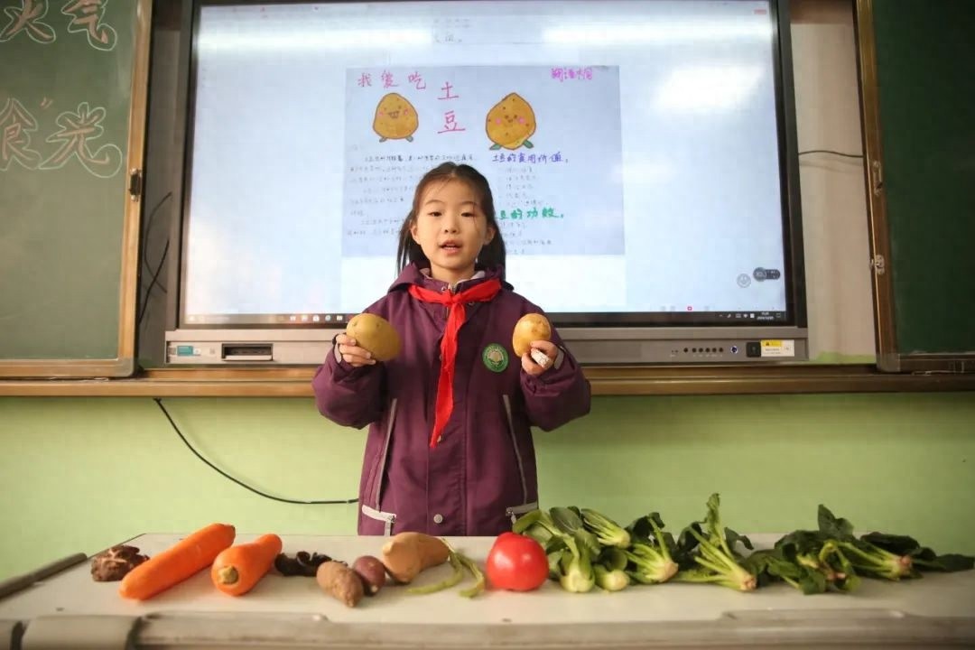 冬至进补秘籍：手绘饺子菜谱与美食图鉴，带你领略大自然的馈赠与家的温暖