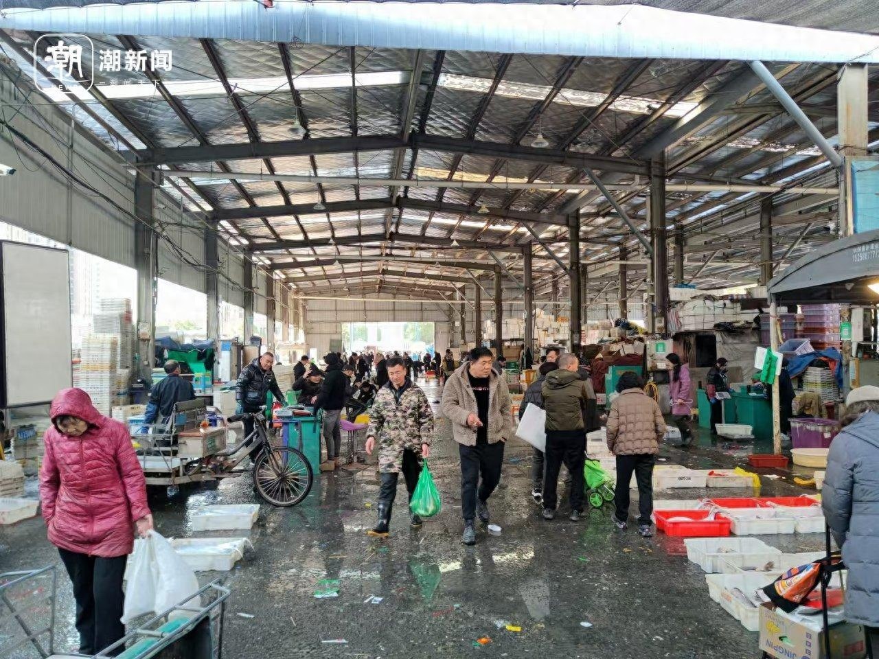 冬至阳光下的杭州水产市场：马大嫂们的冰鲜采购狂欢，价格实惠到让你惊喜