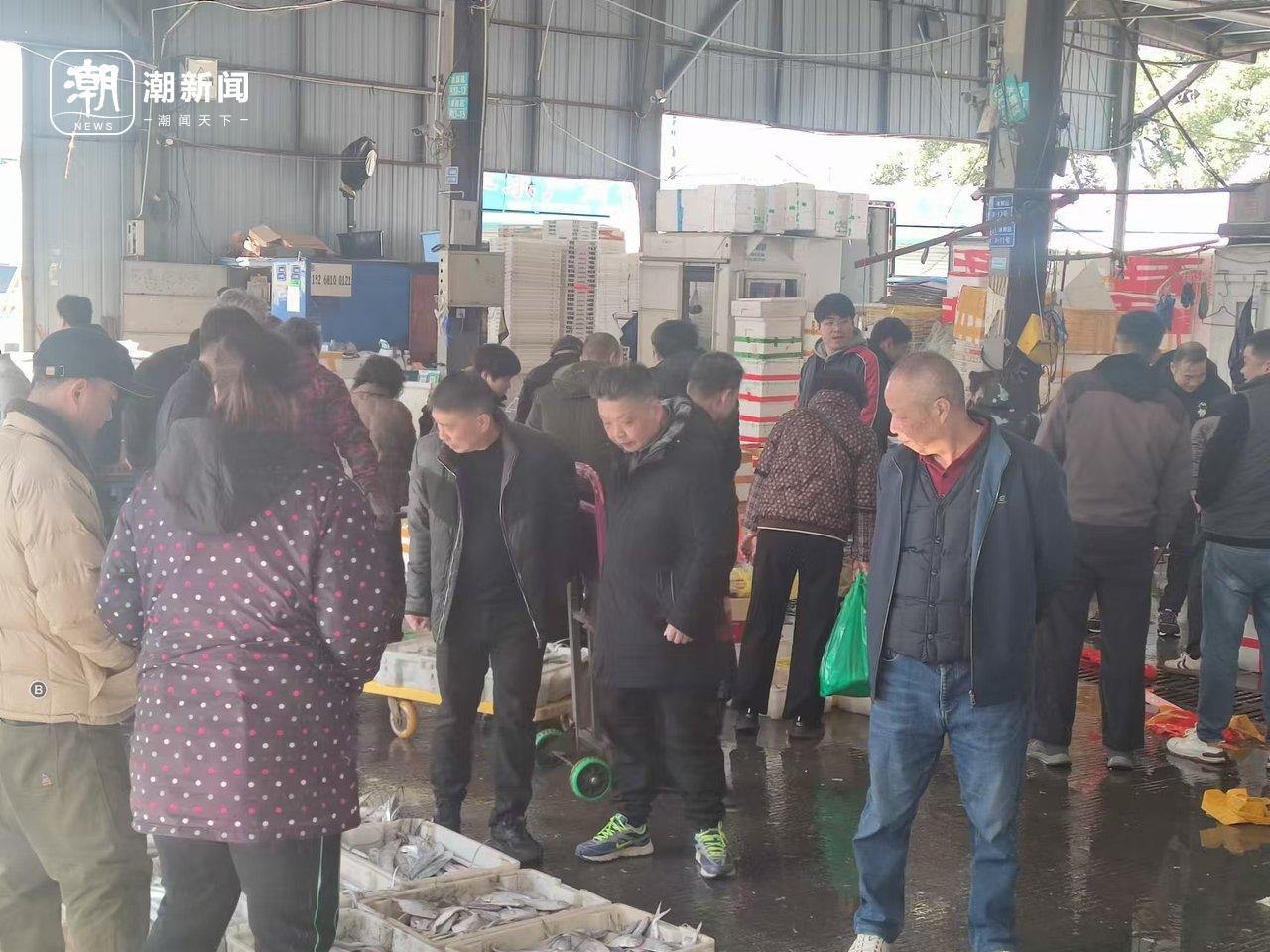 冬至阳光下的杭州水产市场：马大嫂们的冰鲜采购狂欢，价格实惠到让你惊喜  第3张