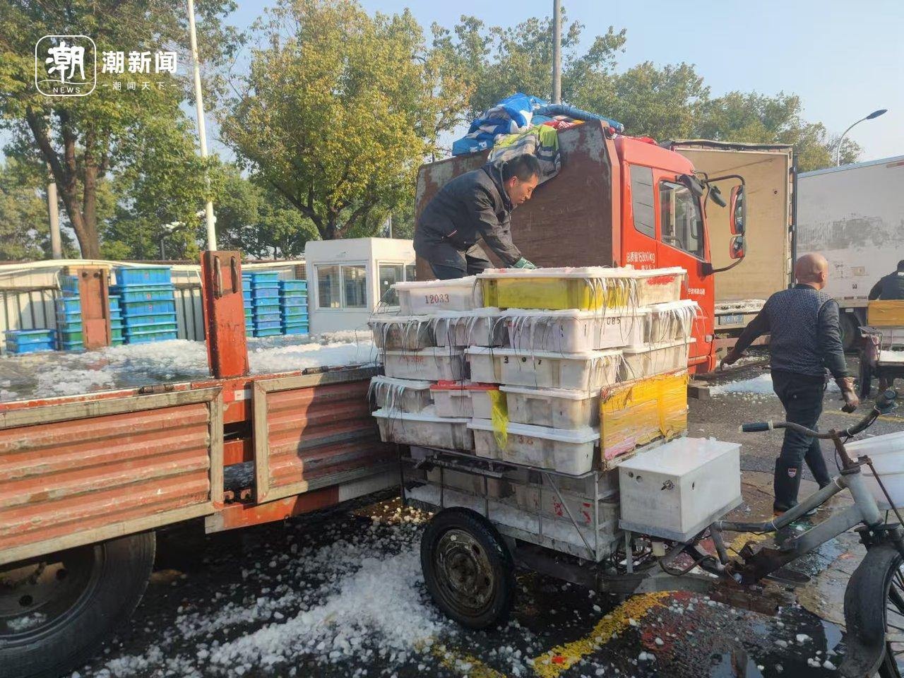 冬至阳光下的杭州水产市场：马大嫂们的冰鲜采购狂欢，价格实惠到让你惊喜  第5张