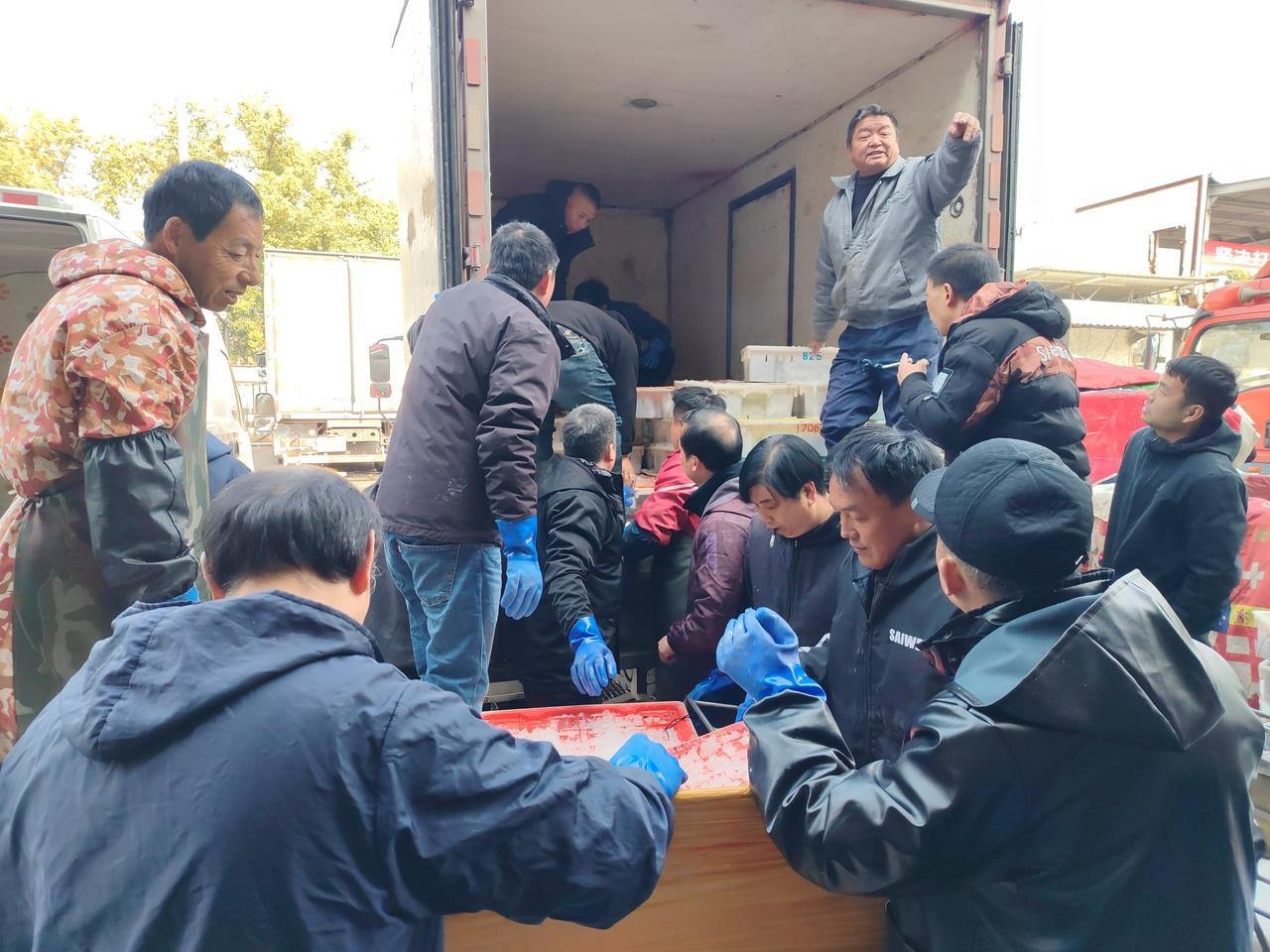 冬至阳光下的杭州水产市场：马大嫂们的冰鲜采购狂欢，价格实惠到让你惊喜  第6张