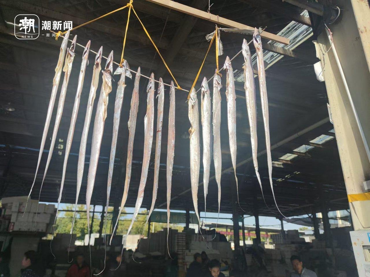 冬至阳光下的杭州水产市场：马大嫂们的冰鲜采购狂欢，价格实惠到让你惊喜  第9张
