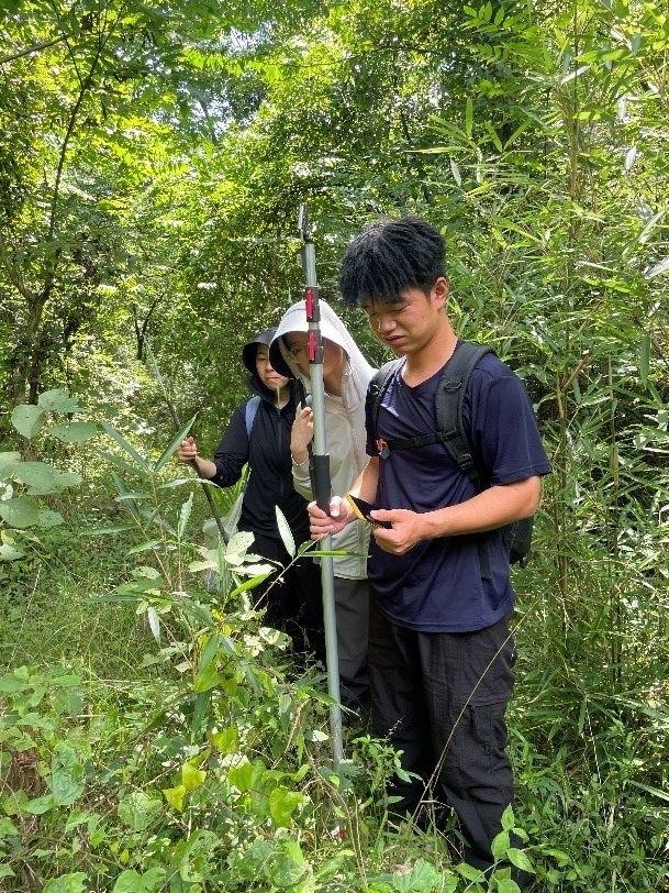 秦岭深处惊现珍稀物种！留坝县生物多样性调查揭秘，你绝对想不到的发现  第2张