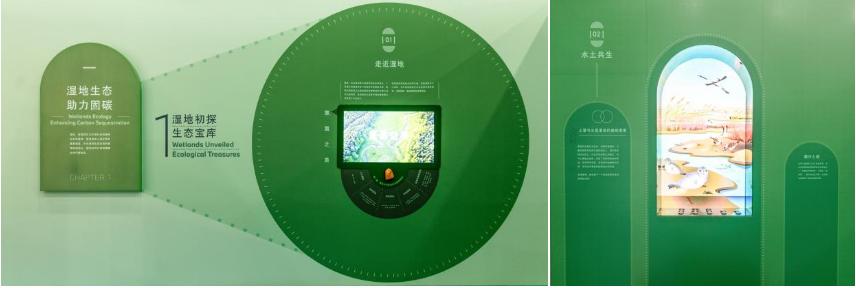 2024湿地展览揭秘：科技与自然的完美融合，你不可错过的生态盛宴  第2张