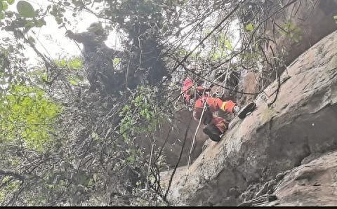达州两男子酒后不慎掉落悬崖，消防人员紧急救援化险为夷  第1张