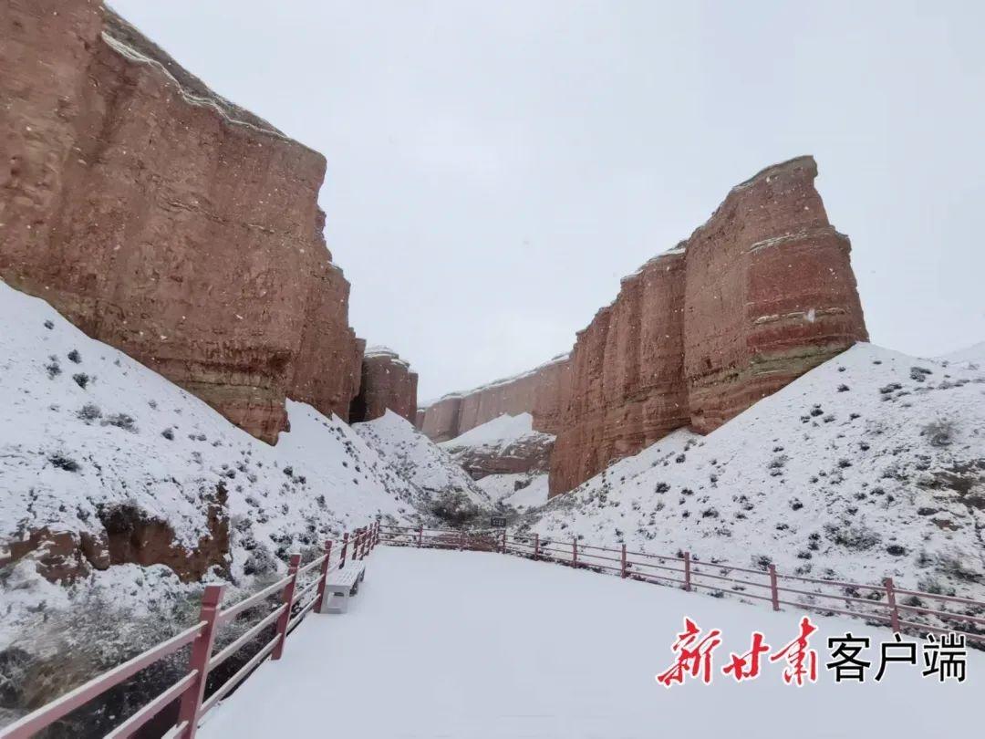 甘肃多地迎今秋首场雪，你那里下雪了吗？  第14张