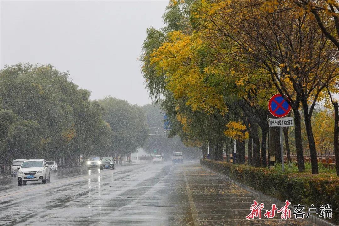 甘肃多地迎今秋首场雪，你那里下雪了吗？  第5张