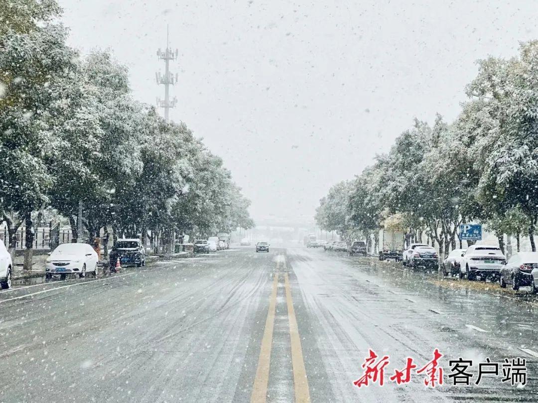 甘肃多地迎今秋首场雪，你那里下雪了吗？  第6张