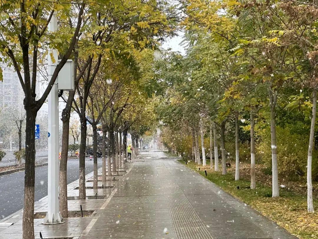 甘肃多地迎今秋首场雪，你那里下雪了吗？  第8张
