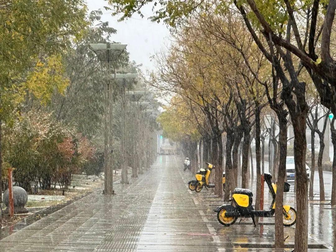 甘肃多地迎今秋首场雪，你那里下雪了吗？  第9张