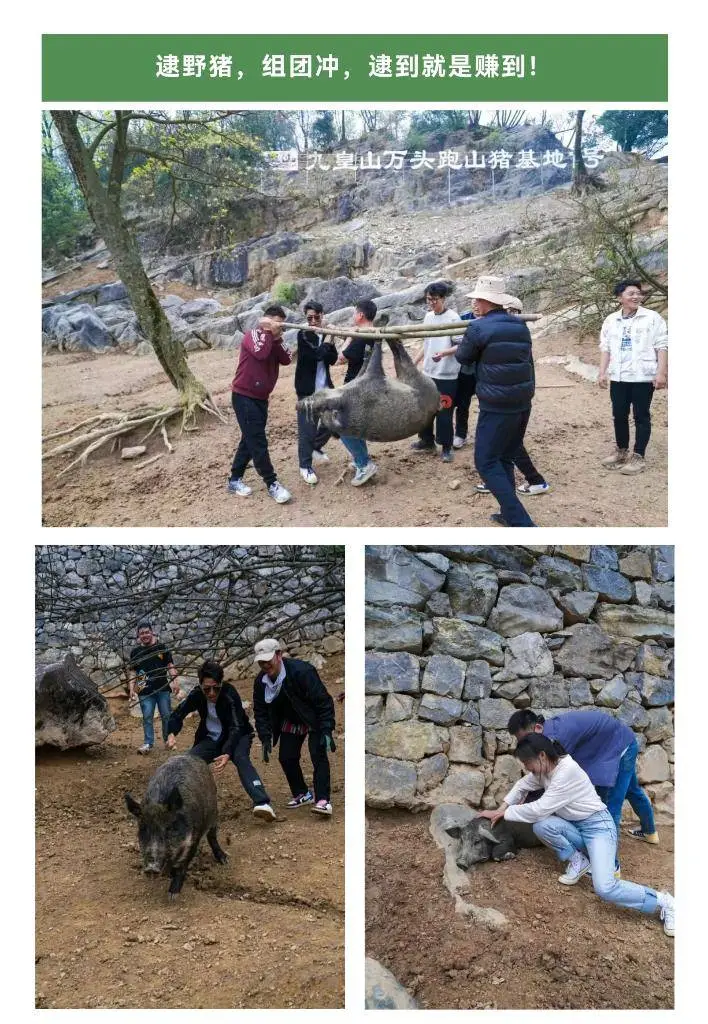 景区徒手逮猎旅游项目引质疑，野生动物保护法如何落实？  第1张