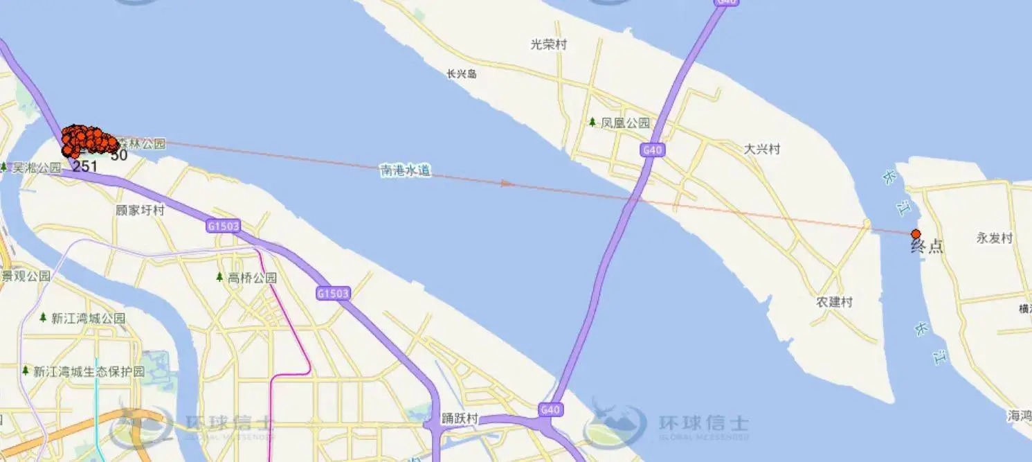 獐竟从浦东游到崇明，跨越二三十公里  第4张
