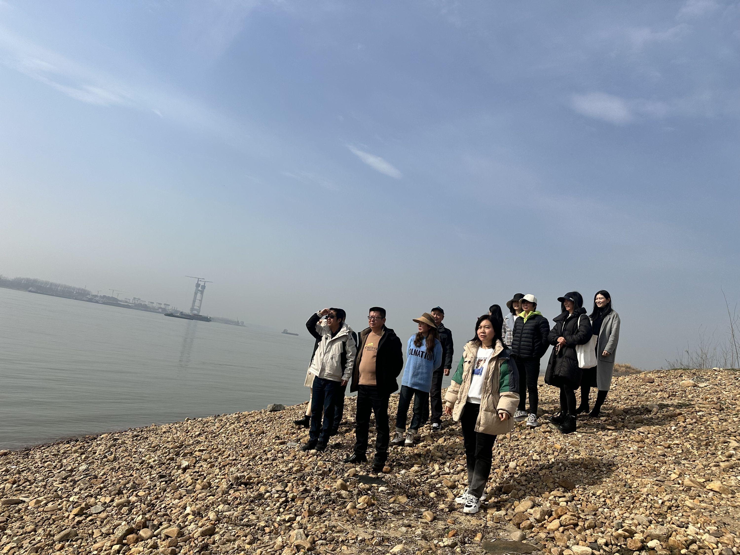 武汉现江豚湾！三年时间，寥寥数只江豚竟发展成 20 多头的大家庭  第3张
