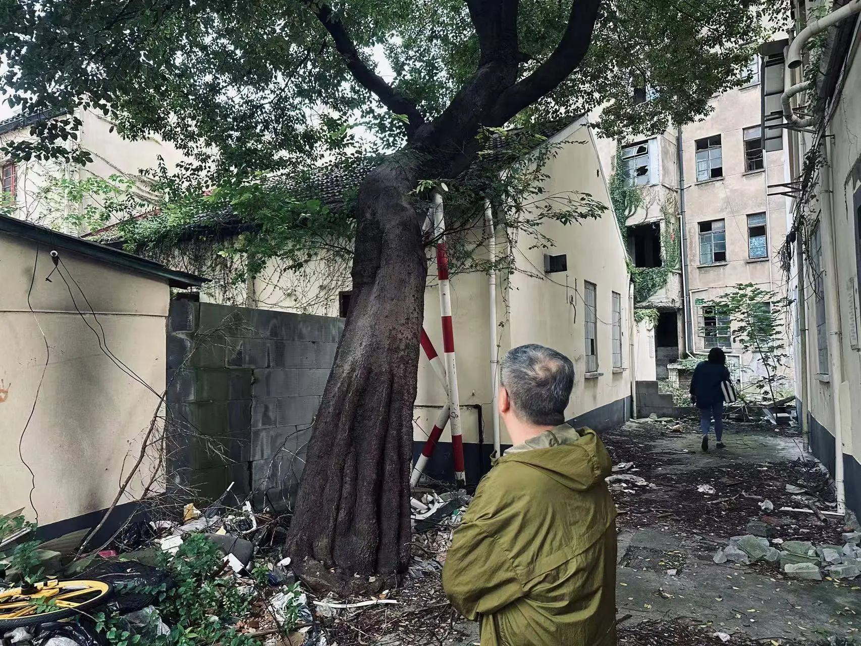 350 余年历史的中华老字号曹素功，隐藏在上海弄堂里的制墨之地  第12张