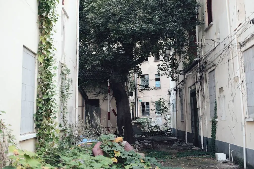 350 余年历史的中华老字号曹素功，隐藏在上海弄堂里的制墨之地  第6张