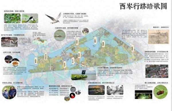 15 幅亩中山水野行图将落地为施工图，沪派江南乡村实景明年全面开工建设  第1张