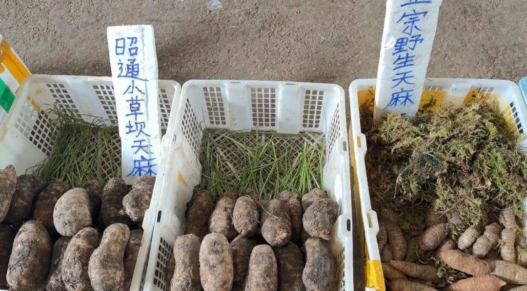 全国最大野生菌市场惊现钻石！每公斤 220 元起，你吃过吗？  第3张