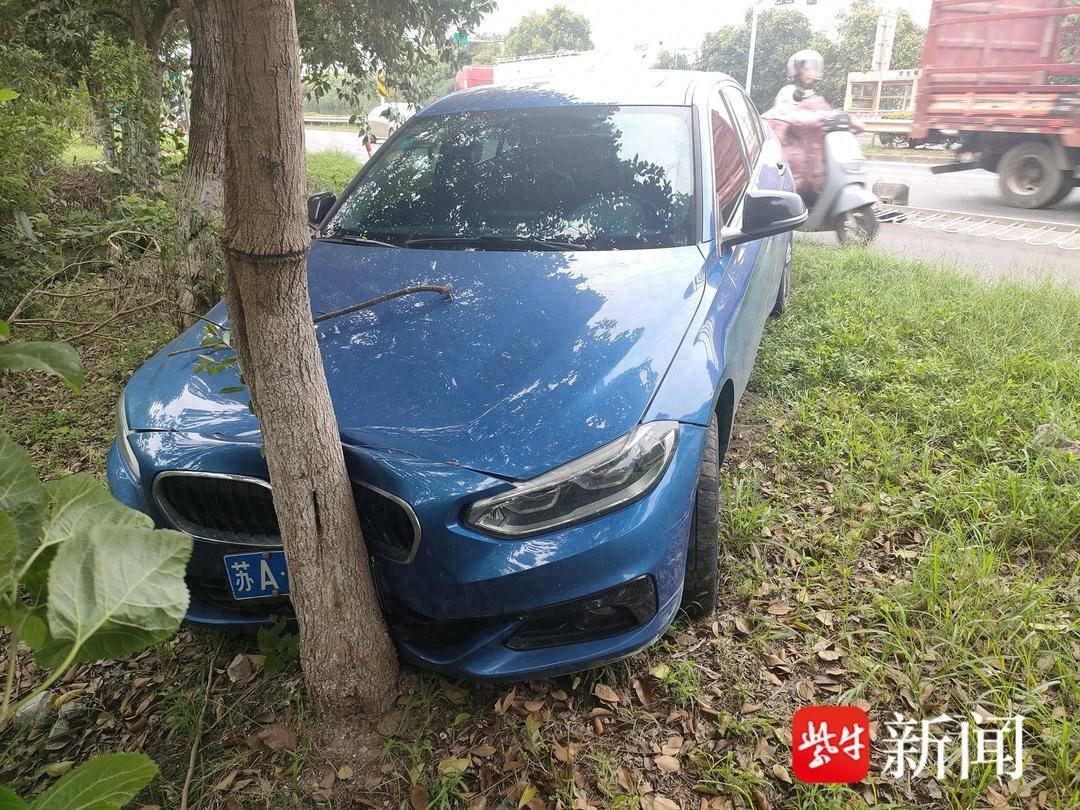 开车看手机，撞树！江宁一司机分心驾驶酿事故，负全责
