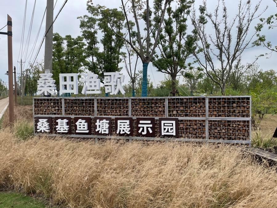 到 2028 年，从上海到苏州吴江或嘉兴嘉善竟有 5 种交通方式  第2张