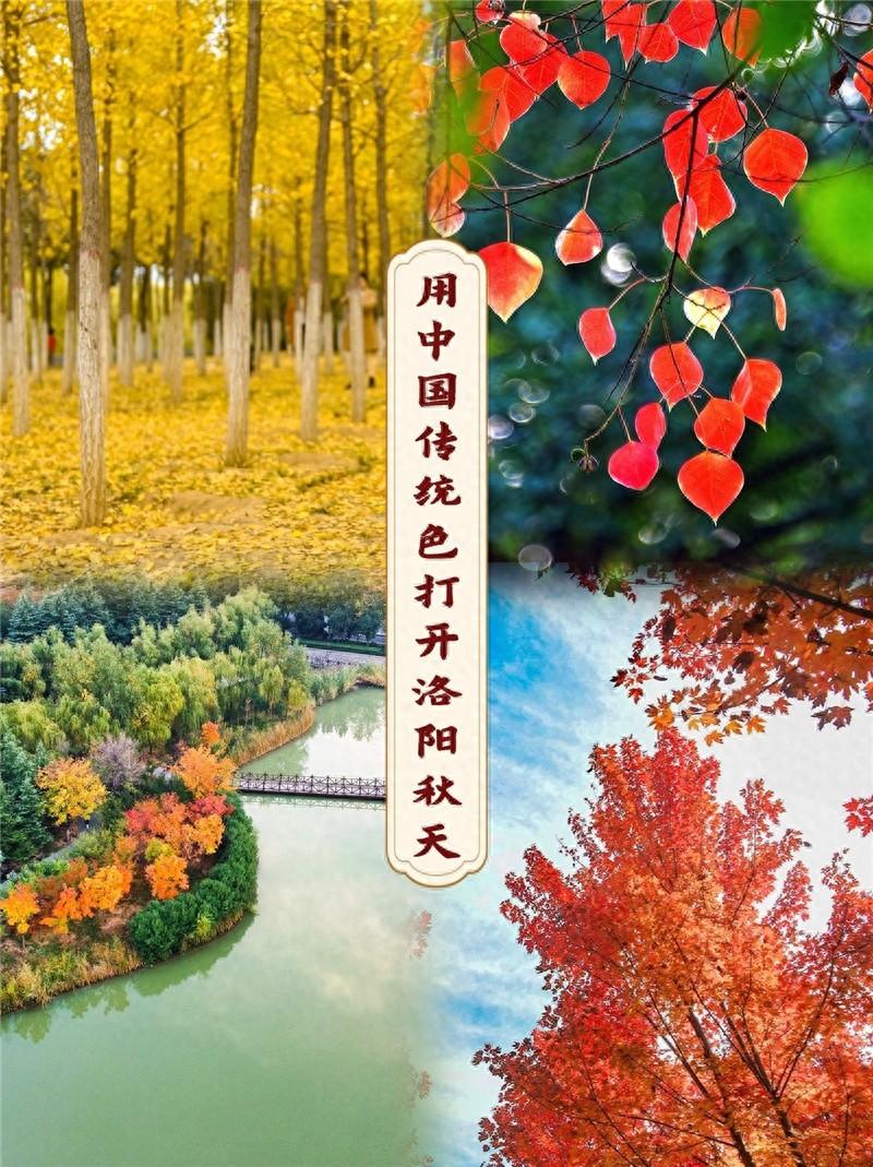 用中国传统色打开洛阳的秋天，美到令人怦然心动  第1张