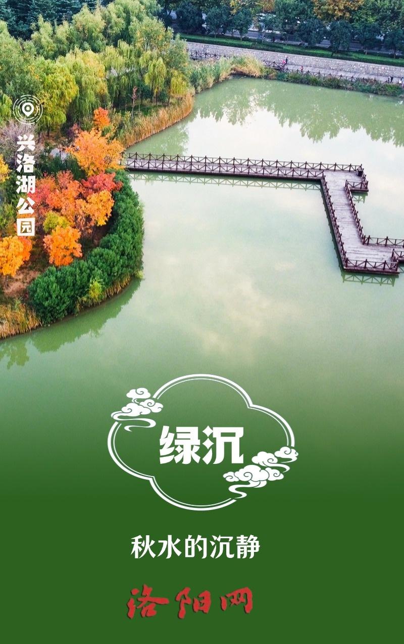 用中国传统色打开洛阳的秋天，美到令人怦然心动  第7张