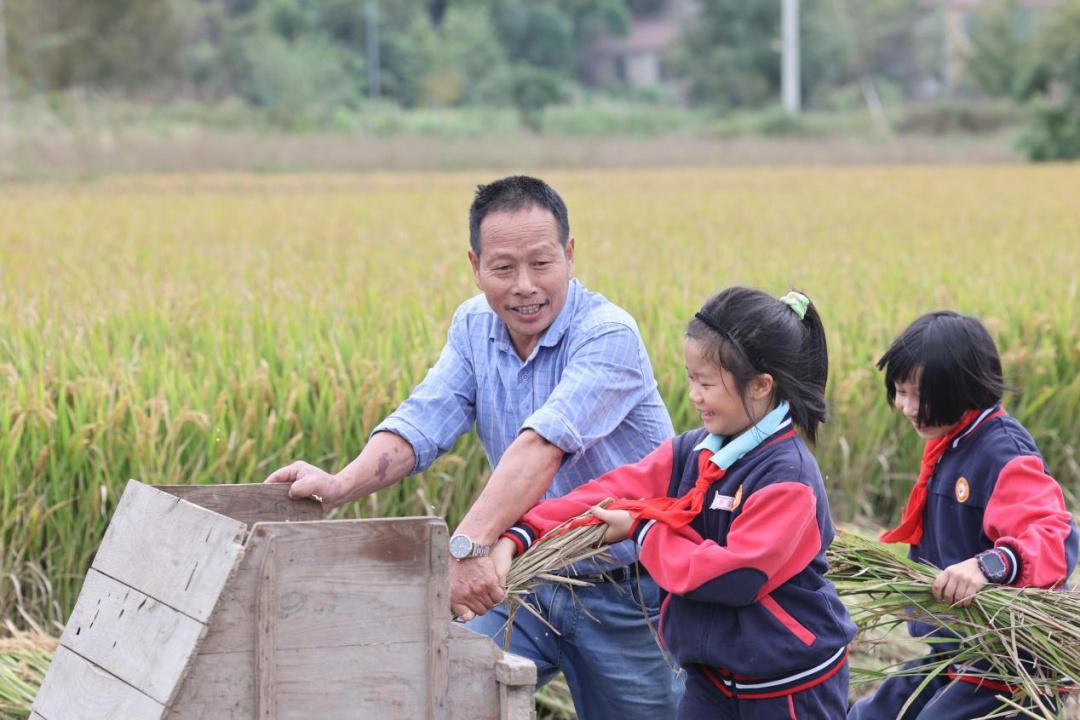 金秋稻香，丰收盛宴！16 名选手齐聚煤山镇，展开水稻收割挑战赛  第5张