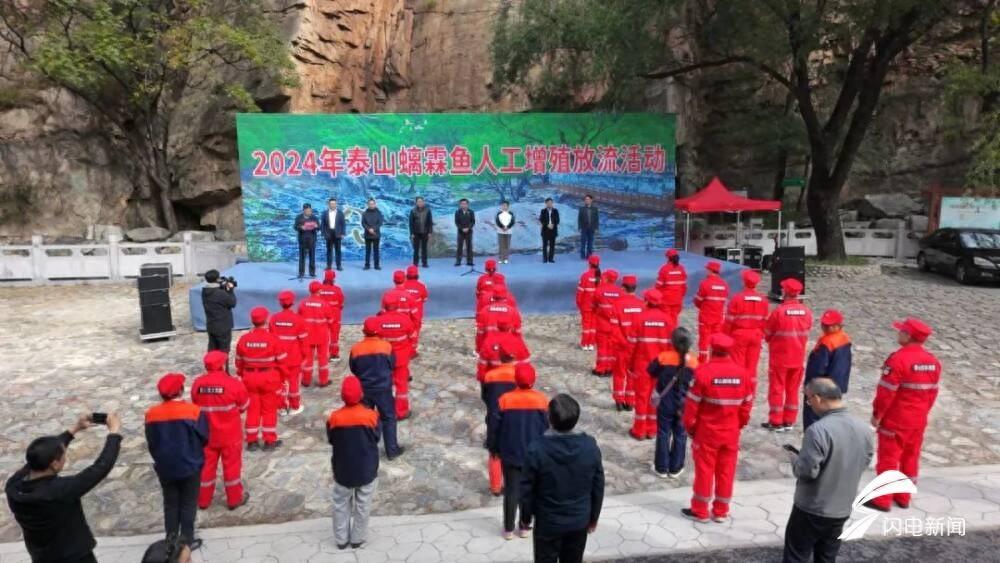 20 万尾螭霖鱼苗回家！泰山桃花源举办增殖放流活动