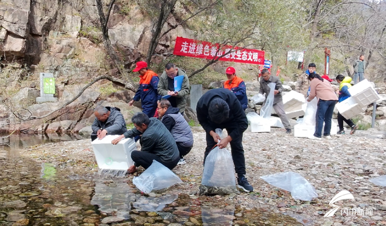 20 万尾螭霖鱼苗回家！泰山桃花源举办增殖放流活动  第3张