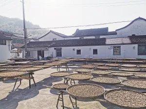 梅干菜及其制品团体标准正式实施，千年美食迈出重要一步  第1张