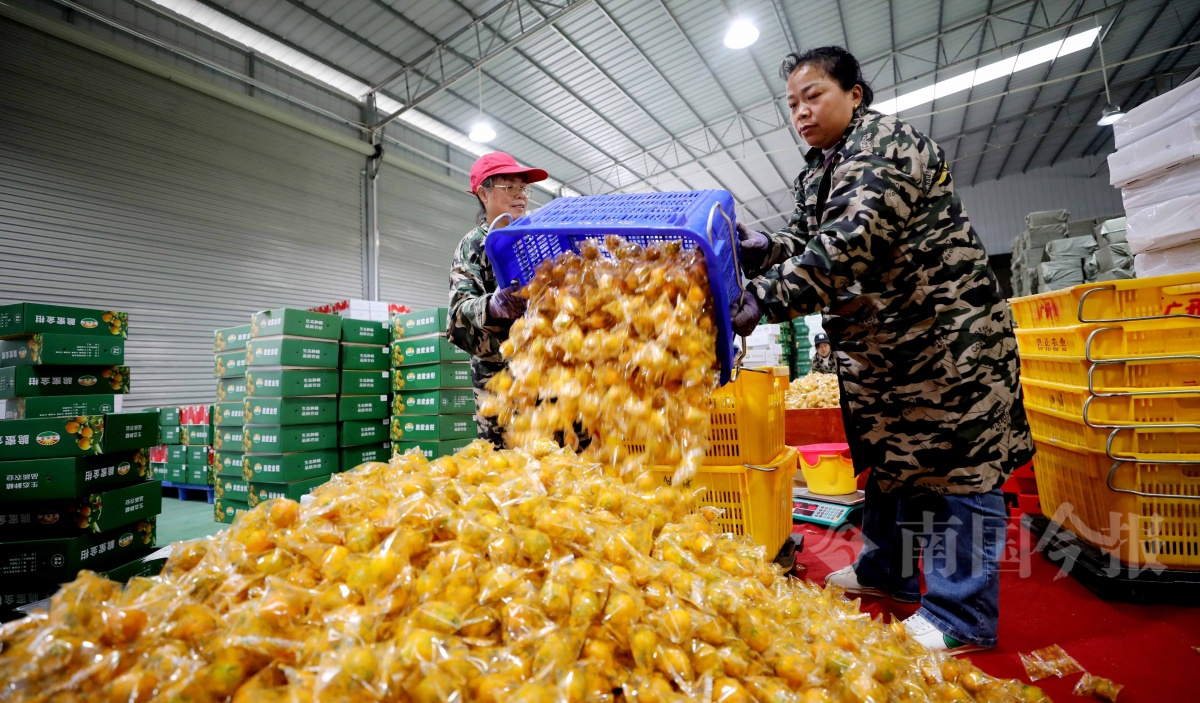 12 项团体标准发布！柳州螺蛳粉将更标准化、规范化  第2张