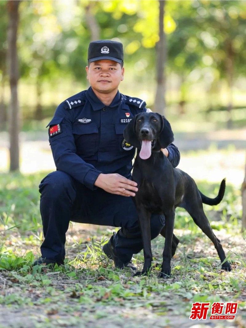 衡阳警犬刀锋和五月出征第六届全国警犬技术比赛，它们能夺冠吗？  第2张