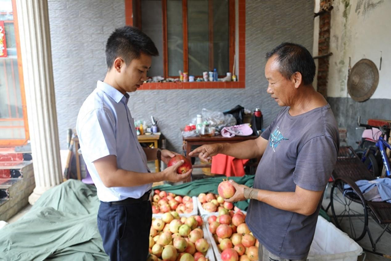 攀枝花邮储银行:深耕乡村市场,助力共同富裕试验区建设 第1张 攀枝花邮储银行:深耕乡村市场,助力共同富裕试验区建设 第1张