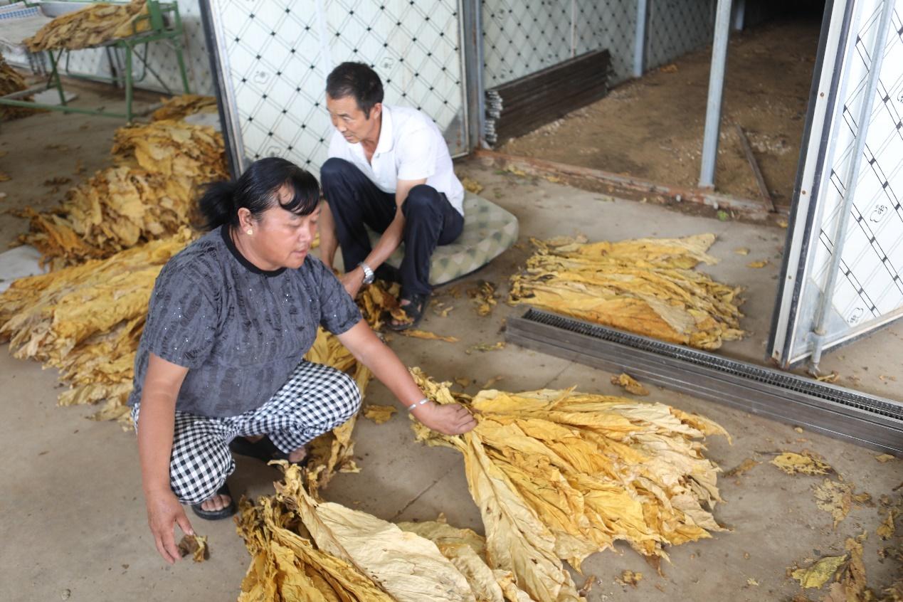 攀枝花邮储银行:深耕乡村市场,助力共同富裕试验区建设 第4张 攀枝花邮储银行:深耕乡村市场,助力共同富裕试验区建设 第4张