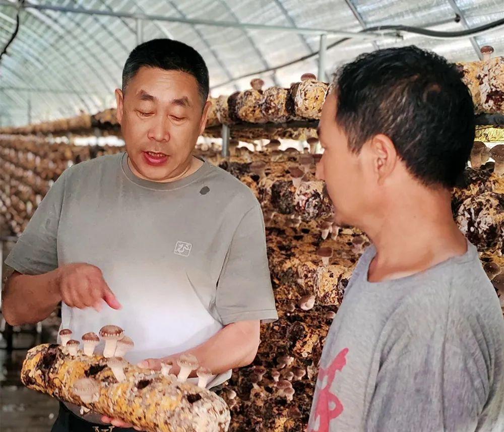 香菇师傅异地认证，打破壁垒，技术互通，底气十足