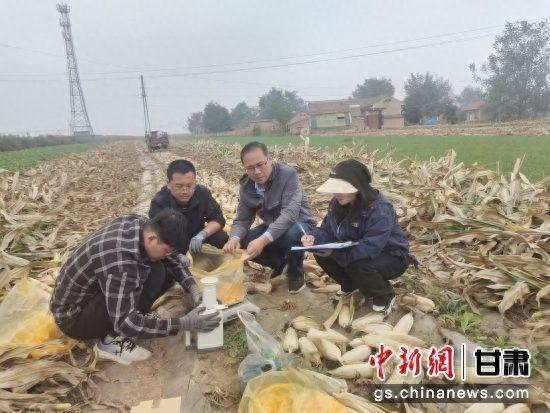崇信县农技人员深入田间地头，为秋粮把脉助力农业高质量发展