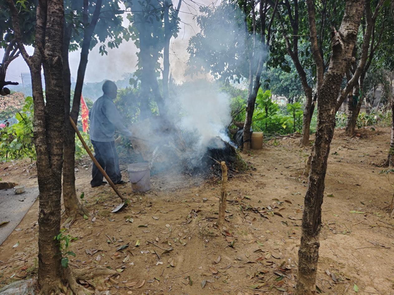 望城区高塘岭街道白芙塘社区禁燃禁烧行动，守护蓝天白云  第1张