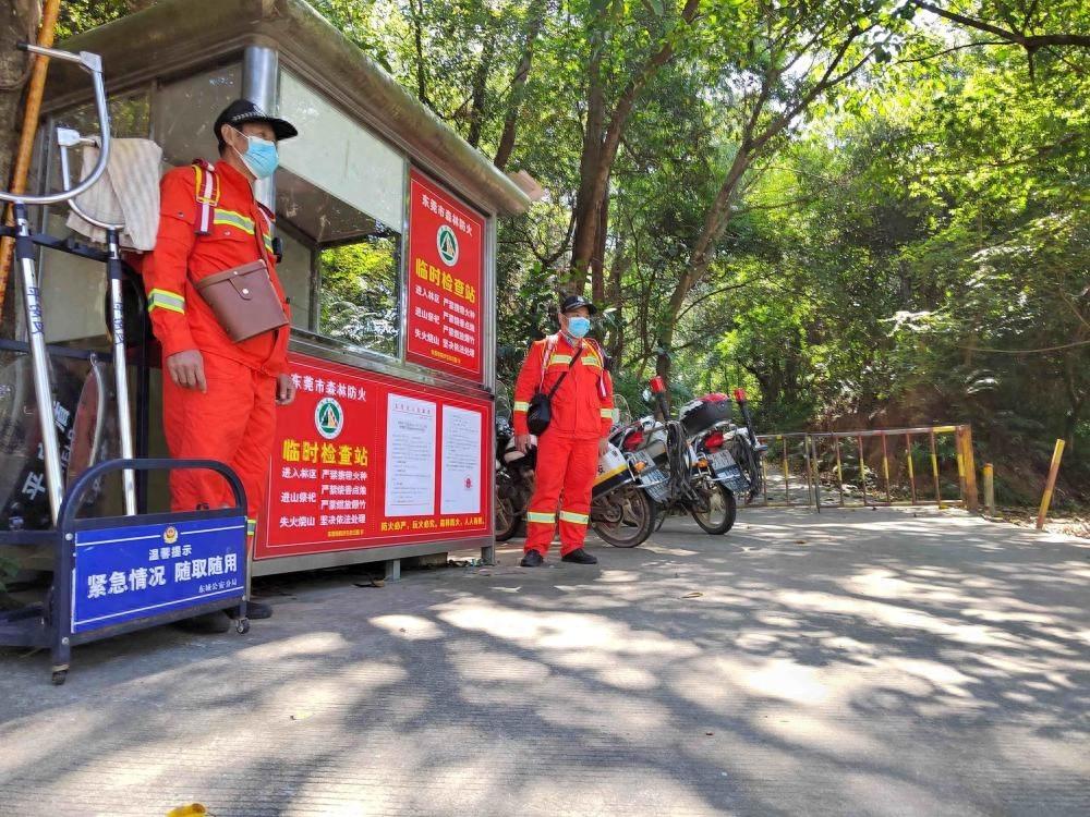 东莞已连续 17 天发布森林火险橙色预警！防火形势严峻，这些措施你必须知道  第1张