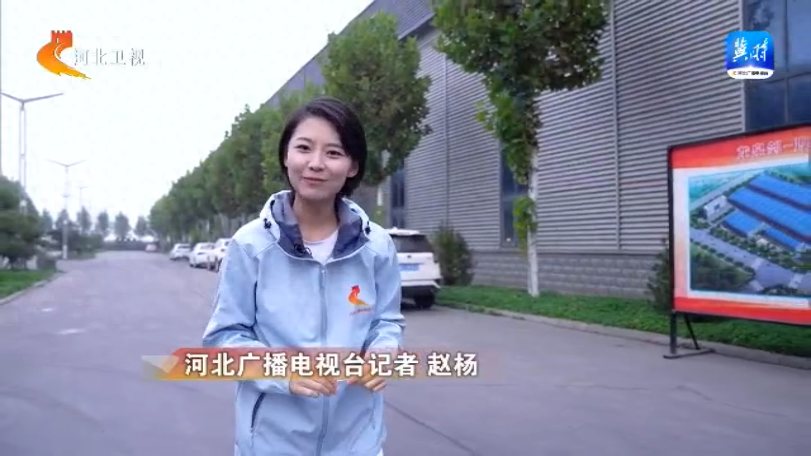 160 多家企业共享制造，邢台这个产业集群凭啥一年卖出 10 亿枚钉子？