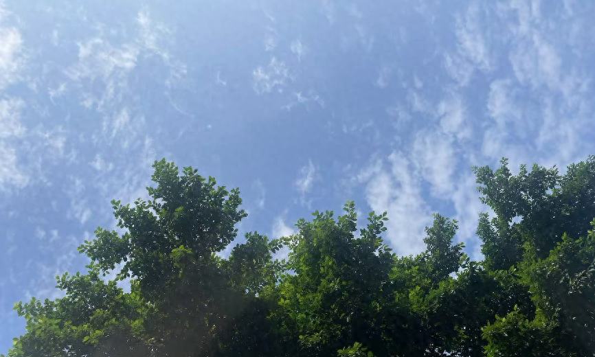 重庆未来三天天气:多云阴天为主,最高气温将逐日下降 第1张 重庆未来三天天气:多云阴天为主,最高气温将逐日下降 第1张