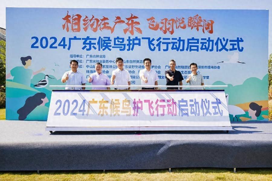 广东候鸟护飞行动启动，爱鸟护鸟，共建绿美广东  第1张